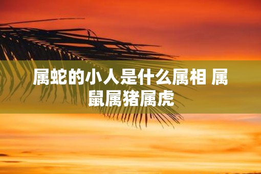 属蛇的小人是什么属相 属鼠属猪属虎