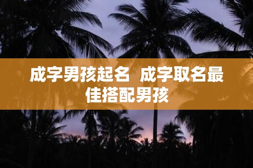 成字男孩起名  成字取名最佳搭配男孩
