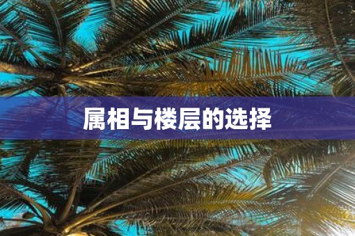 属相与楼层的选择