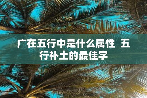 广在五行中是什么属性  五行补土的最佳字