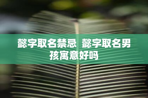 懿字取名禁忌  懿字取名男孩寓意好吗