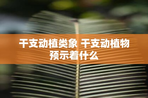 干支动植类象 干支动植物预示着什么
