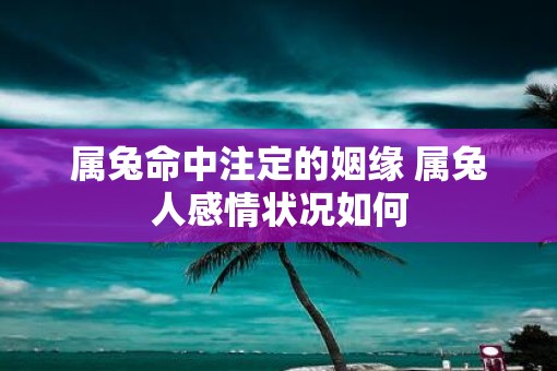 属兔命中注定的姻缘 属兔人感情状况如何