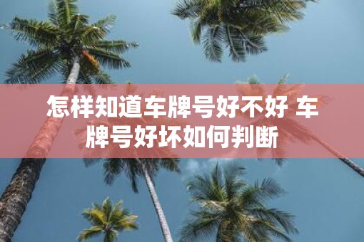 怎样知道车牌号好不好 车牌号好坏如何判断