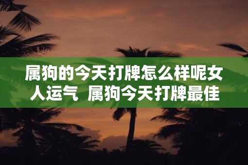 属狗的今天打牌怎么样呢女人运气  属狗今天打牌最佳方位