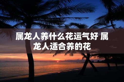 属龙人养什么花运气好 属龙人适合养的花