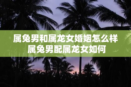属兔男和属龙女婚姻怎么样 属兔男配属龙女如何