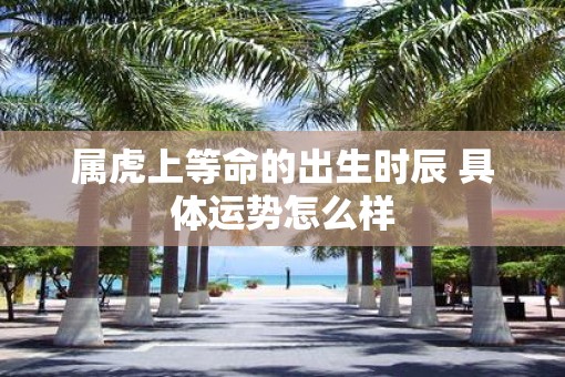 属虎上等命的出生时辰 具体运势怎么样