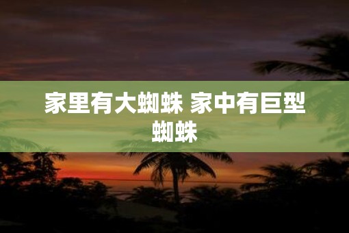 家里有大蜘蛛 家中有巨型蜘蛛