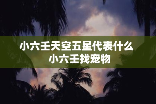 小六壬天空五星代表什么  小六壬找宠物