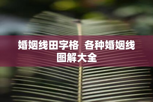 婚姻线田字格  各种婚姻线图解大全