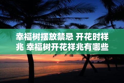 幸福树摆放禁忌 开花时祥兆 幸福树开花祥兆有哪些摆放禁忌