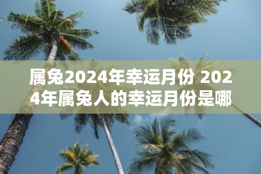 属兔2025年幸运月份 2025年属兔人的幸运月份是哪些