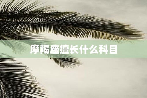 摩羯座擅长什么科目