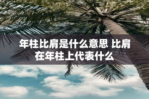 年柱比肩是什么意思 比肩在年柱上代表什么