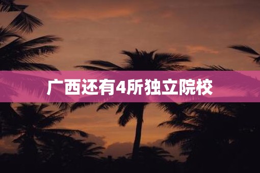广西还有4所独立院校