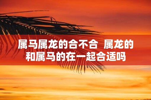 属马属龙的合不合  属龙的和属马的在一起合适吗