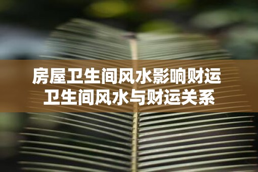 房屋卫生间风水影响财运 卫生间风水与财运关系