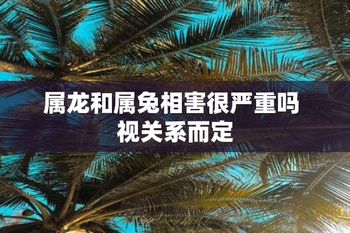 属龙和属兔相害很严重吗 视关系而定