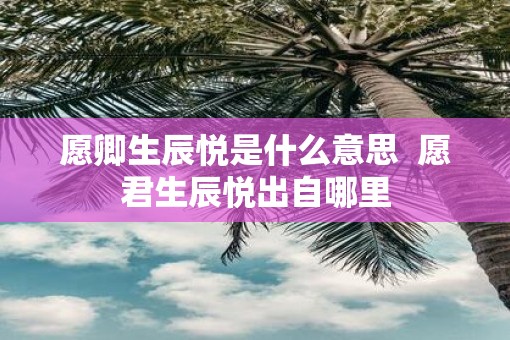 愿卿生辰悦是什么意思  愿君生辰悦出自哪里