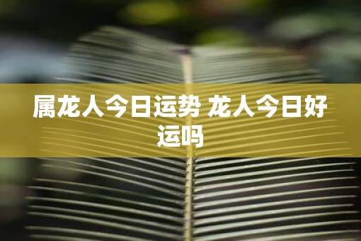 属龙人今日运势 龙人今日好运吗