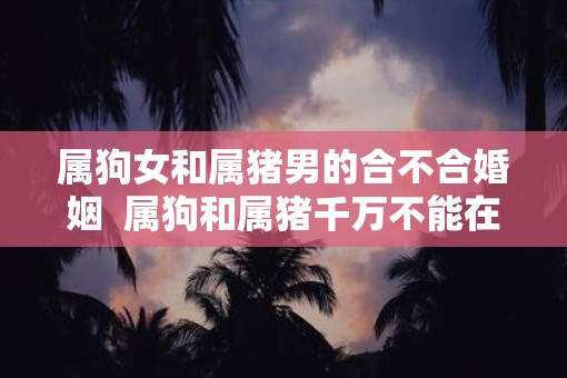 属狗女和属猪男的合不合婚姻  属狗和属猪千万不能在一起