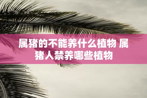属猪的不能养什么植物 属猪人禁养哪些植物
