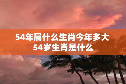 54年属什么生肖今年多大 54岁生肖是什么