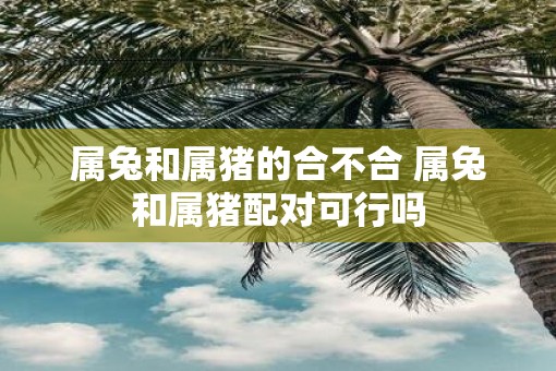 属兔和属猪的合不合 属兔和属猪配对可行吗
