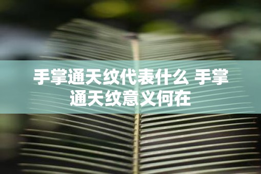 手掌通天纹代表什么 手掌通天纹意义何在