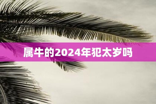 属牛的2025年犯太岁吗