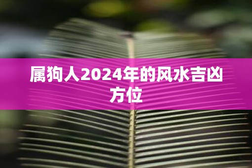 属狗人2025年的风水吉凶方位