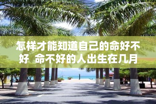 怎样才能知道自己的命好不好  命不好的人出生在几月