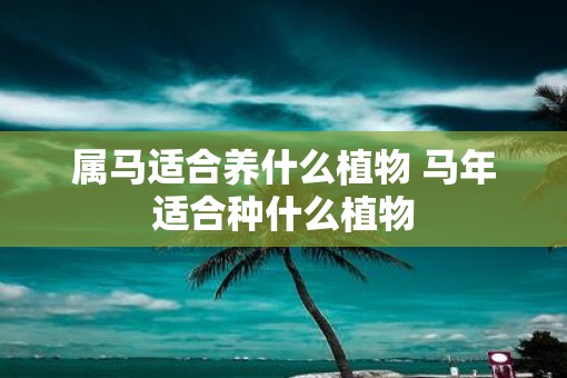 属马适合养什么植物 马年适合种什么植物