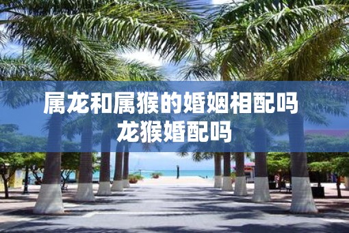 属龙和属猴的婚姻相配吗 龙猴婚配吗