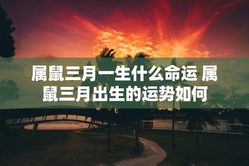 属鼠三月一生什么命运 属鼠三月出生的运势如何