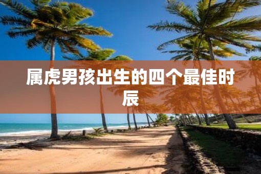 属虎男孩出生的四个最佳时辰
