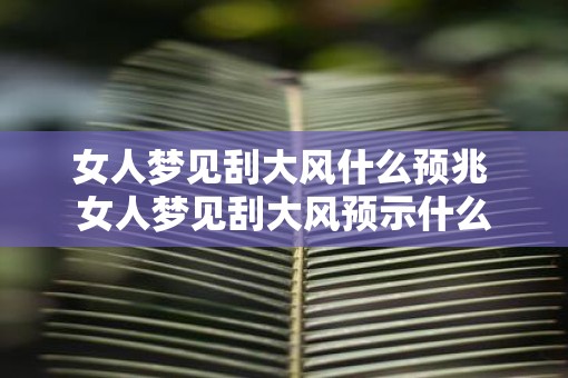 女人梦见刮大风什么预兆 女人梦见刮大风预示什么