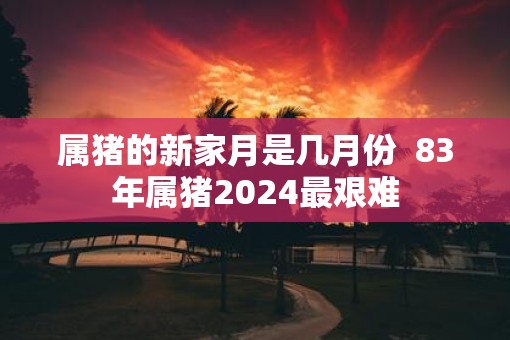 属猪的新家月是几月份  83年属猪2025最艰难