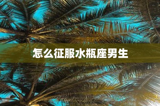 怎么征服水瓶座男生