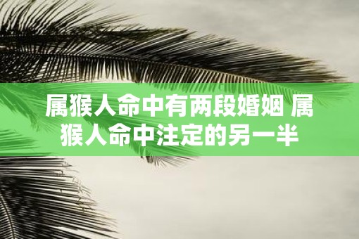 属猴人命中有两段婚姻 属猴人命中注定的另一半