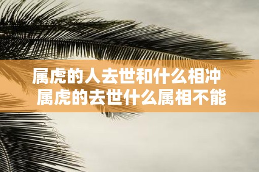 属虎的人去世和什么相冲  属虎的去世什么属相不能看