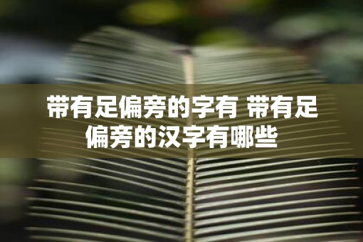 带有足偏旁的字有 带有足偏旁的汉字有哪些