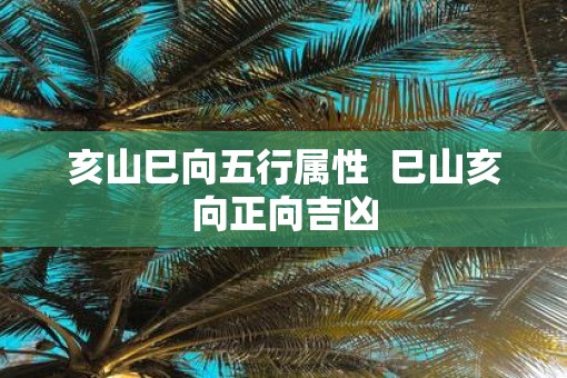亥山巳向五行属性  巳山亥向正向吉凶