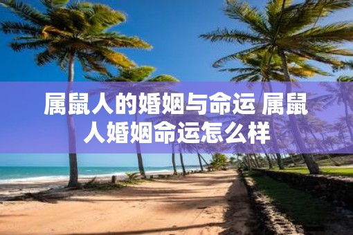 属鼠人的婚姻与命运 属鼠人婚姻命运怎么样 属鼠人的婚姻与命运 属鼠人婚姻命运怎么样