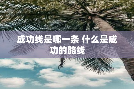 成功线是哪一条 什么是成功的路线