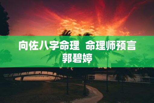 向佐八字命理  命理师预言郭碧婷