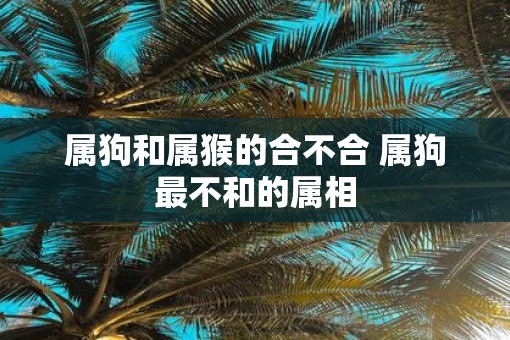 属狗和属猴的合不合 属狗最不和的属相