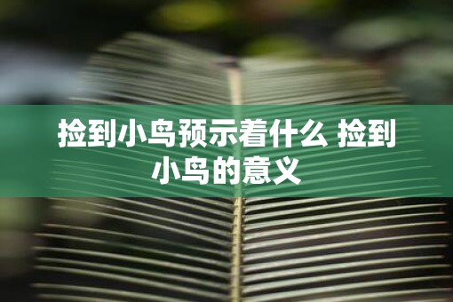 捡到小鸟预示着什么 捡到小鸟的意义