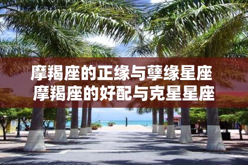 摩羯座的正缘与孽缘星座 摩羯座的好配与克星星座